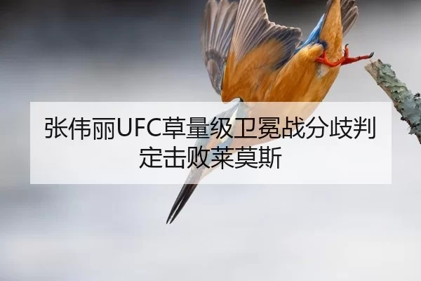张伟丽UFC草量级卫冕战分歧判定击败莱莫斯